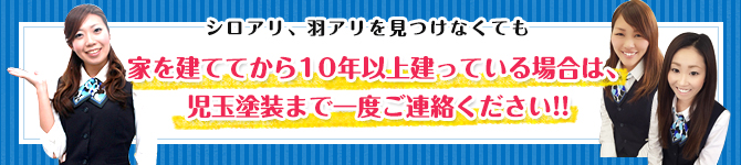シロアリ、羽アリを見つけなくても
家を建ててから10年以上建っている場合は、
児玉塗装まで一度ご連絡ください!!