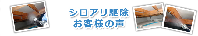 シロアリ駆除　お客様の声