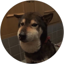 noa6585 profile picture