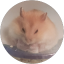 グル. profile picture