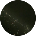 ふみ profile picture