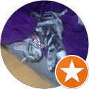 スマホ猫さん profile picture